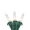 100ct. Mini Christmas String Lights with Green Wire